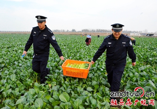 西平民警为客商保驾受称赞