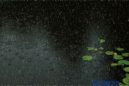 清明临近 春雨欲来
