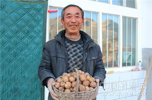 山西临县：核桃圆了村民“致富梦”