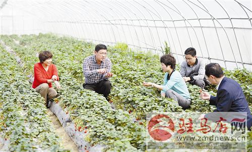 益农丰达：建设高科技现代都市生态农业样板园区