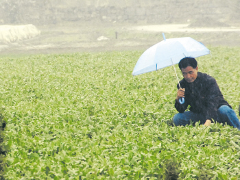 及时雨助力秋播