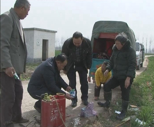 上蔡农业专家田间地头指导小麦黄化花叶病防治