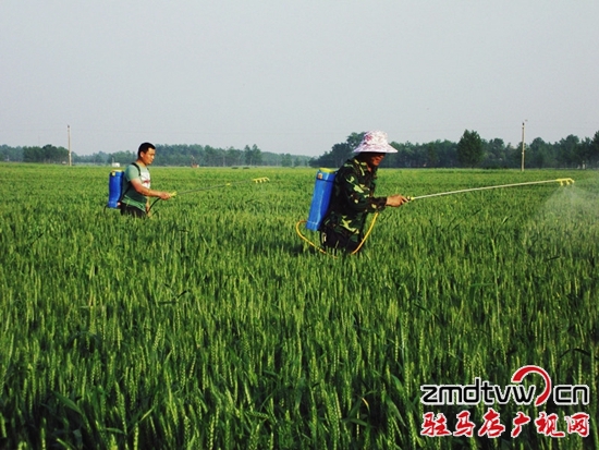 正阳县农技人员地头指导一喷三防--驻马店广