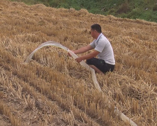 汝南：夏种旱情现 农民抢浇透墒水