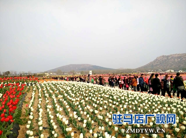 嵖岈山游人如织.jpg