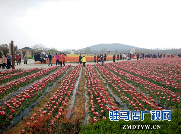 嵖岈山游人如织 (2).jpg