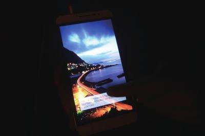 职业捉奸人
