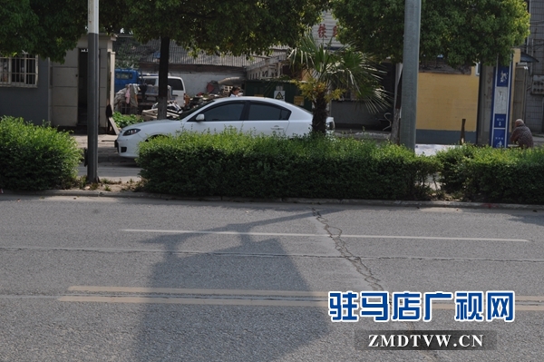 踩踏绿化带