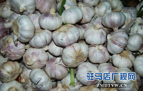 大蒜价格上涨 蒜你狠