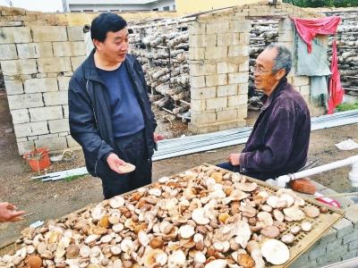 泌阳驻村书记吕建功