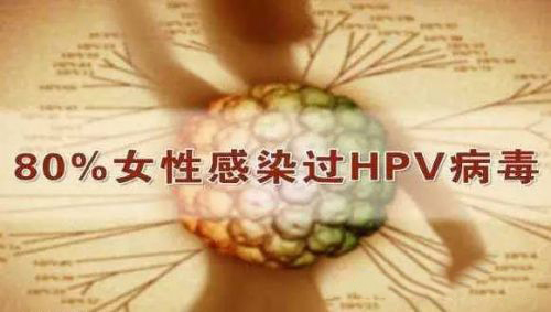 河南高发的宫颈癌能防了 HPV疫苗望明年年初上市