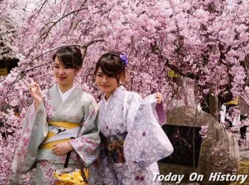 日本为什么被称为樱花之国?日本十大赏樱胜地