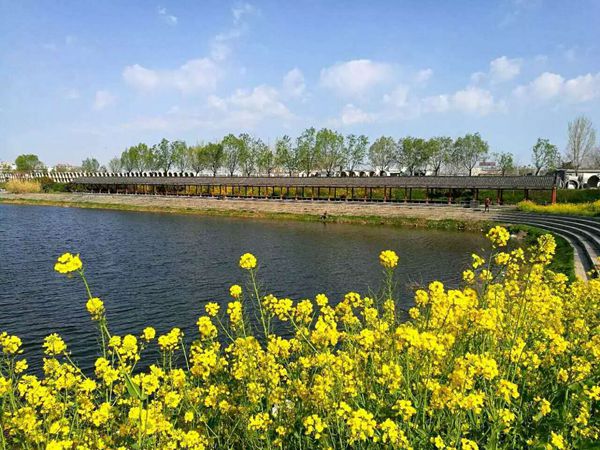 练江河片区：项目建设紧锣密鼓 美丽景观指日可待