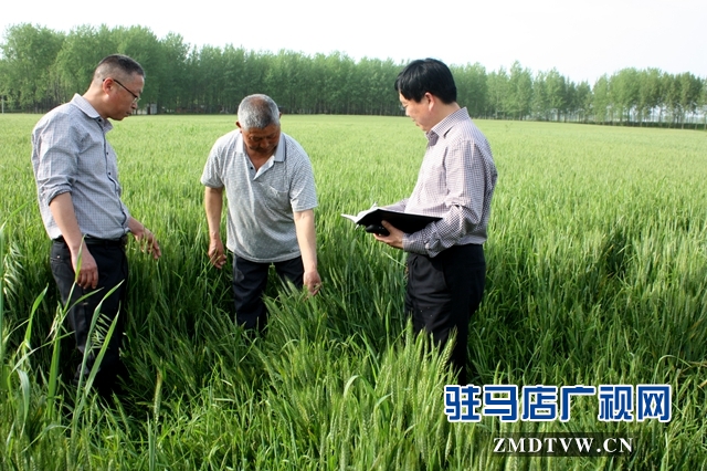 农气技术人员在该县陡沟镇开展大田调查.jpg