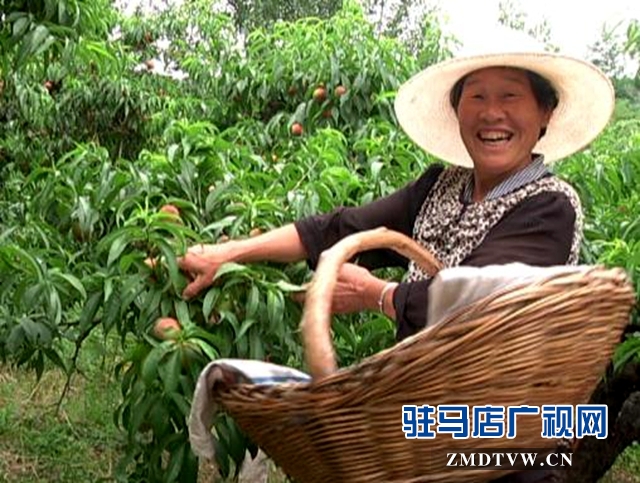 微信图片_20170616102750.jpg