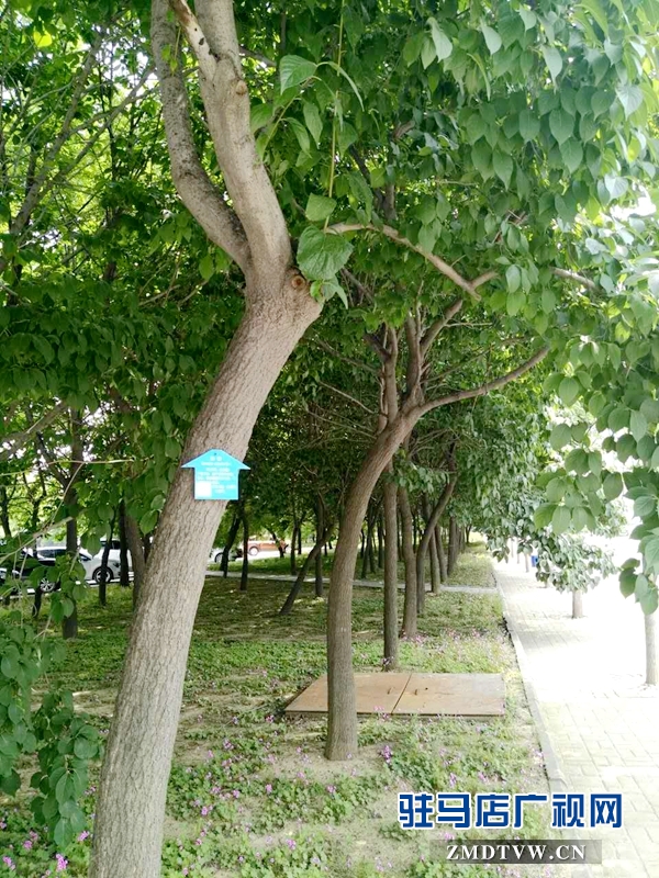 微信图片_20170620152752.jpg