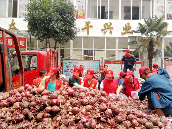 爱心企业义买100吨滞销洋葱送给环卫工