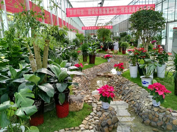 我市首座智慧农业温棚建成并投入使用