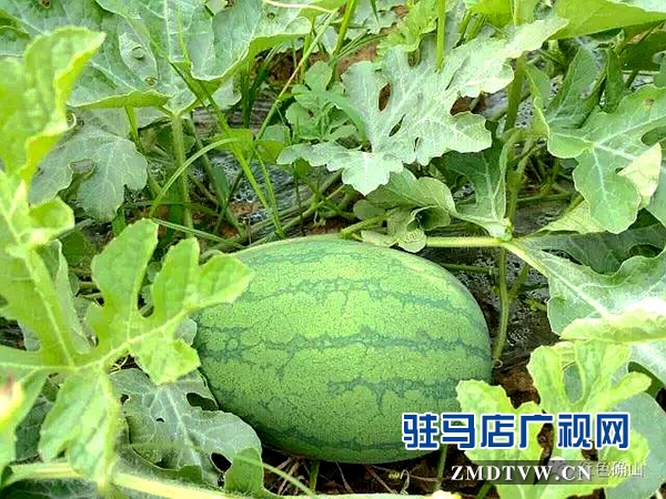 微信图片_20170630172100.jpg