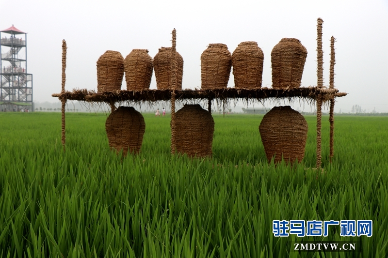 近年来，留庄镇以发展现代生态农业和乡村旅游为抓手，以留庄镇观光稻田公园、富硒生态大米等农产品为突破，致力于打造一个以生态旅游为主的观光农业，探索走出一条传统平原农业乡镇发展特色农业的新路子。以产业扶贫、精准扶贫带动留庄经济发展，为老百姓找到一条脱贫致富的新出路。（摄影记者/武帅）