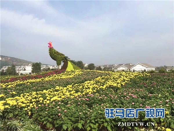 微信图片_20170924112826 - 副本 (2)_副本 - 副本.jpg