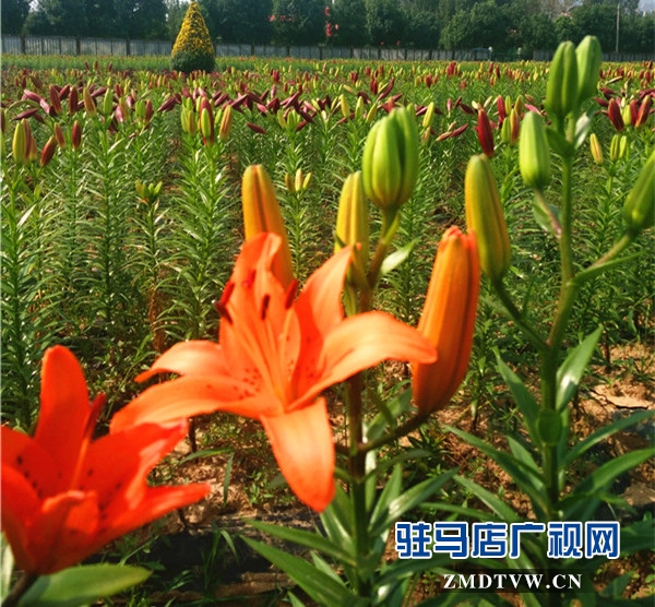 微信图片_20170924112830_副本_副本.jpg