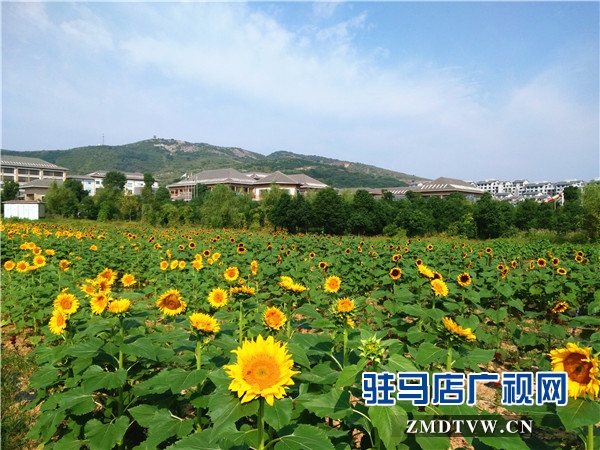 微信图片_20170924112835_副本.jpg