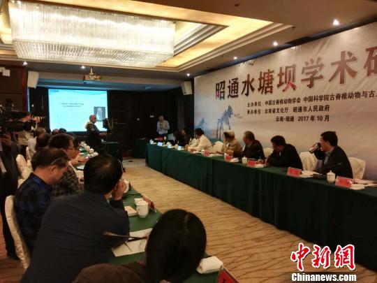 院士专家聚焦600万年前的“物种避难所”昭通水塘坝