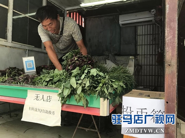 驻马店市区现无人售菜摊 买卖无声 诚信无价