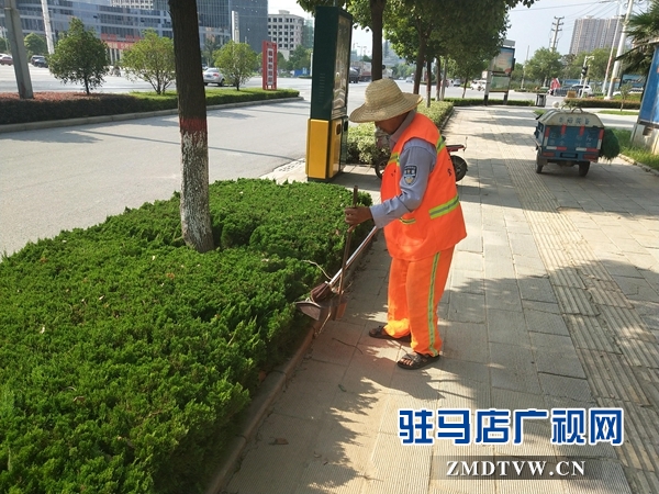 驻马店经济开发区城市管理局多举措助力“创森”