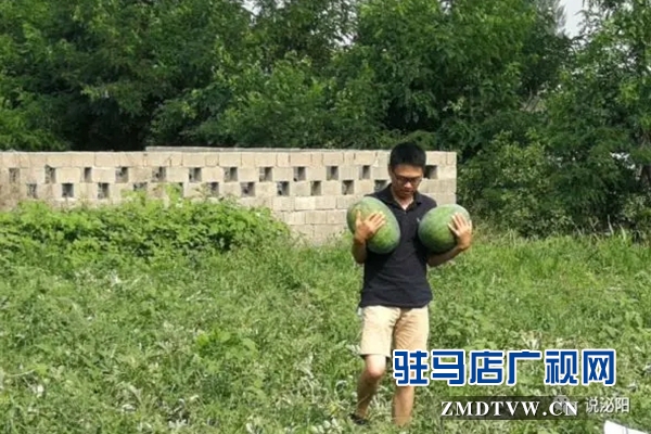 驻村第一书记肖江南下地卖西瓜