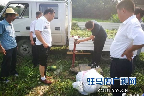 驻村第一书记肖江南下地卖西瓜