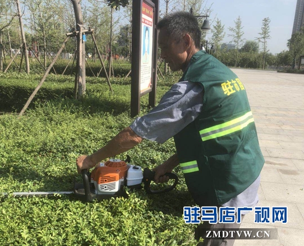 高温下的园林工人：用汗水浇灌城市绿荫