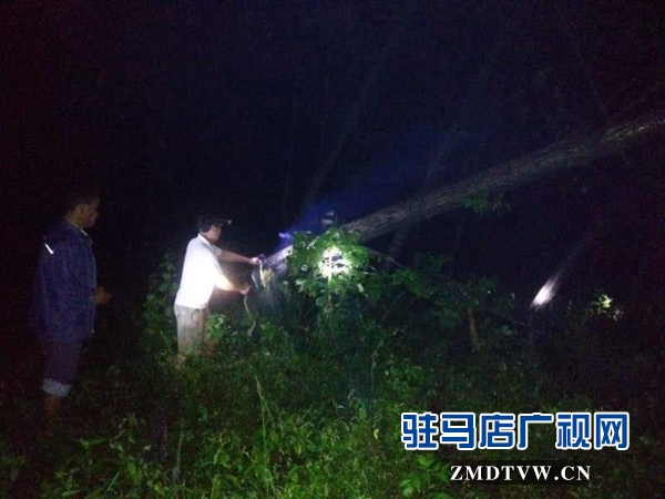 泌阳：暴雨突袭电路毁坏 电力职工奋力抢修