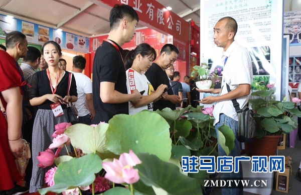 汝南展厅盆栽荷花首次亮相展会惹人爱