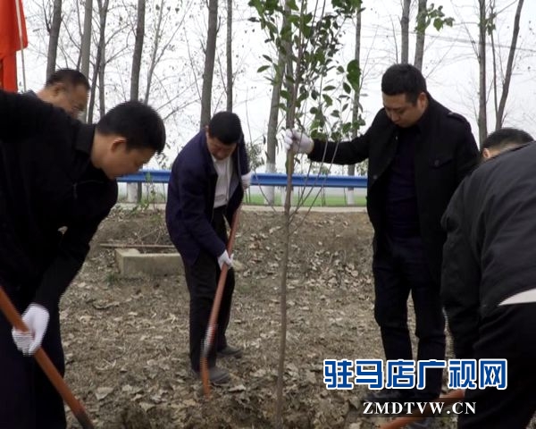 驻马店各县区掀起冬季义务植树热潮