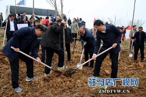 泌阳：全面启动实施国土绿化提速行动 