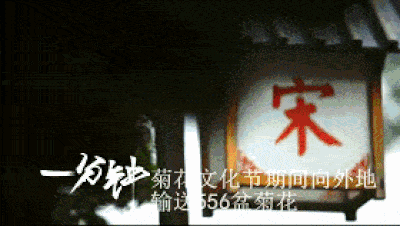 【视频】这里是开封！