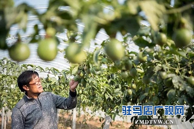 常天顺带领村民从事“甜蜜事业”