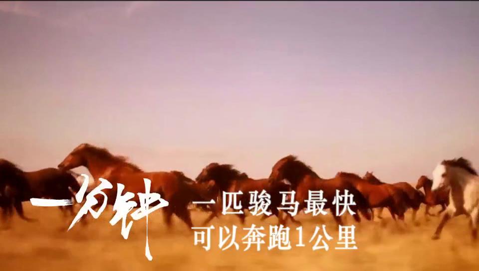 【河南一分钟——驻马店篇】昂扬奋进 砥砺前行