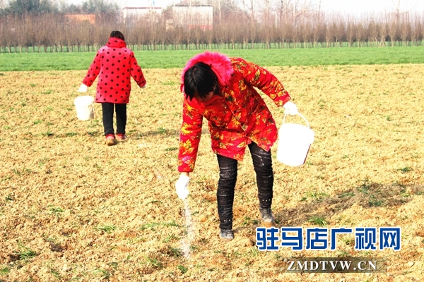 汝南县古塔街道国土绿化提升行动掀高潮