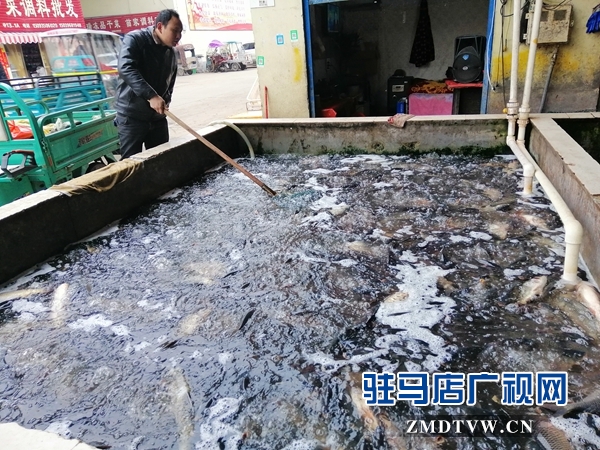  节后蔬菜市场“涨声”一片水产品略跌