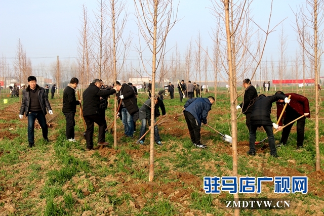 汝南县文化广电旅游局开展义务植树活动