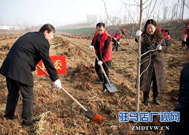 上蔡县开展春季义务植树活动