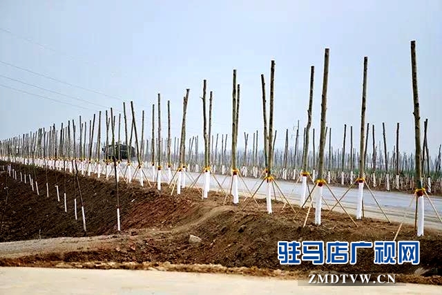 西平县考察团到上蔡县观摩考察国土绿化工作
