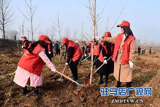 上蔡县开展春季义务植树活动