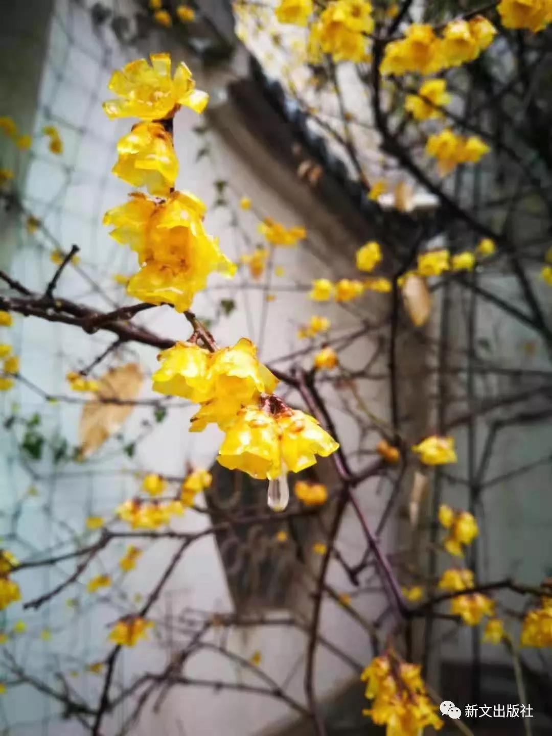 微信图片_20190305142402.jpg