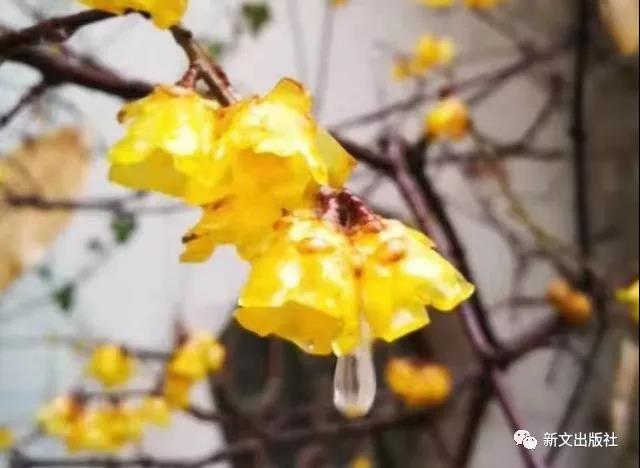 微信图片_20190305142355.jpg