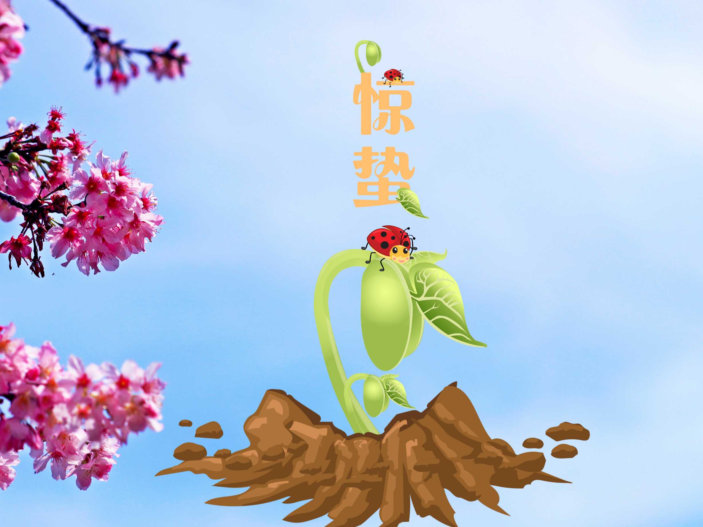 “善变”的惊蛰来了！防虫“十八般武艺”你Get了吗？