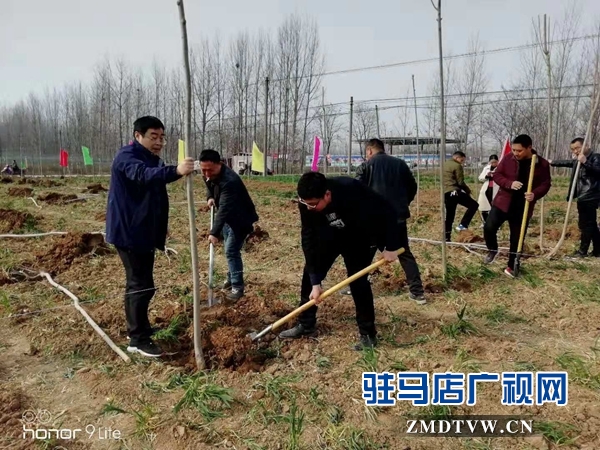 汝南县三桥镇党员干部参加义务植树活动